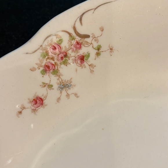 Vintage Semi-Porcelain Platter, Antique Platter, Vintage Platter - Picture 4 of 9